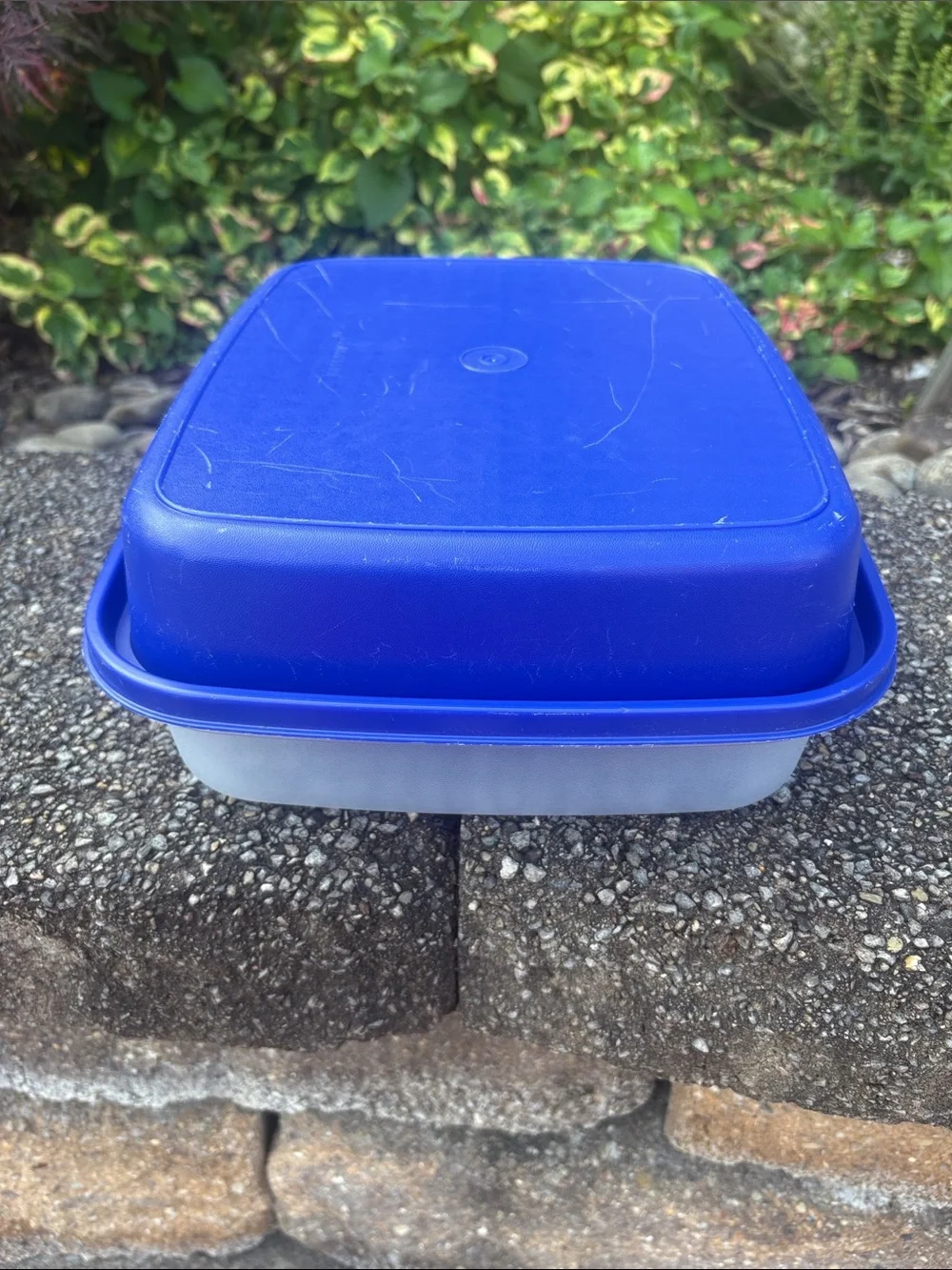 Vintage Tupperware Season-Serve Blue Marinating Container. AKA “The Marinator”